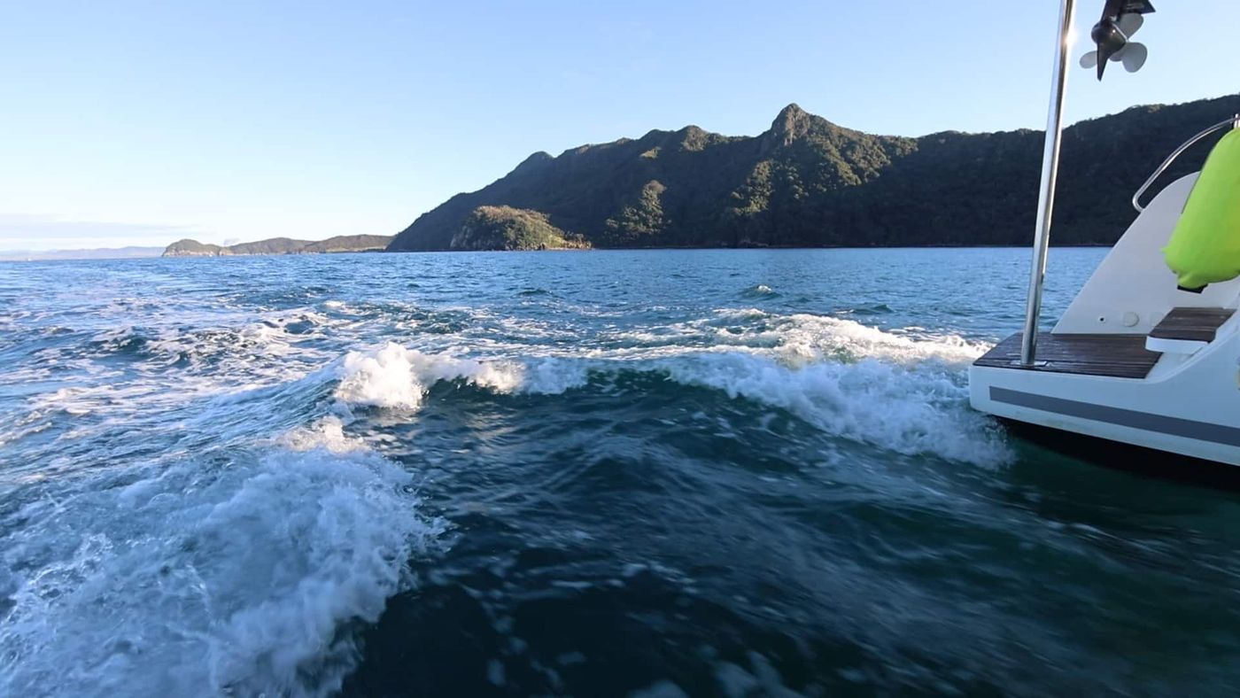 Back in Our Element: Life After the Refit