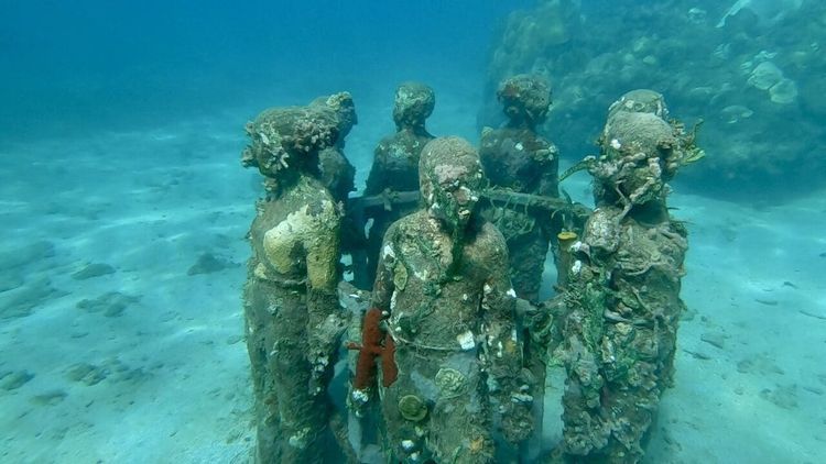 Boat Work + Snorkeling an Underwater Sculpture Park