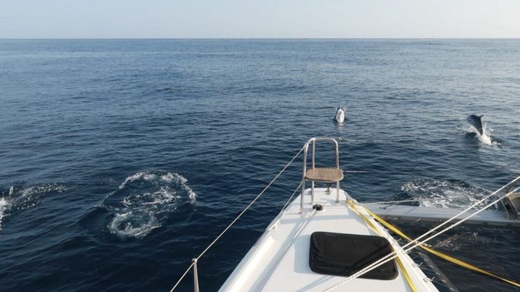 Pacific Crossing Day 3: Finding the Silver Lining