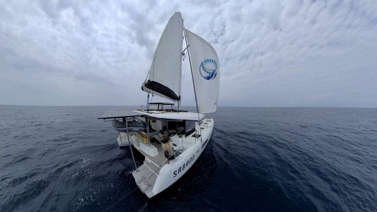Pacific Crossing Day 4: Searching for Wind