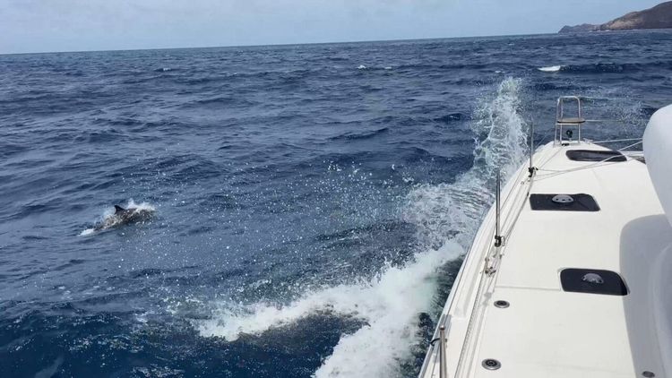 Our Worst Passage Yet