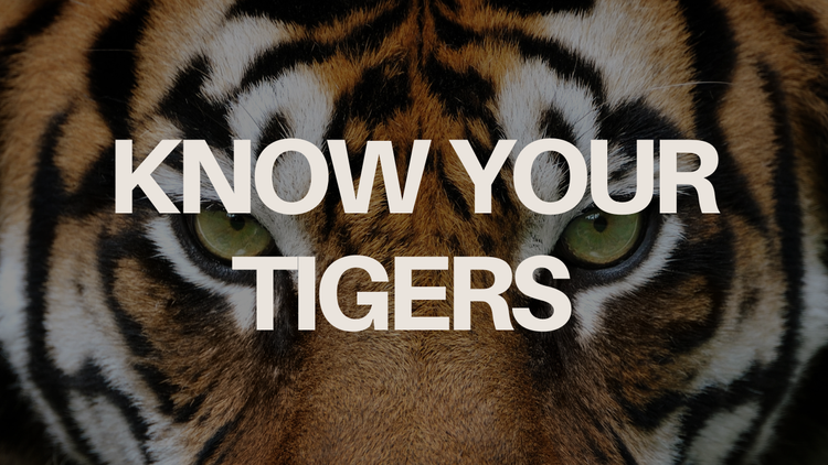 Gains & Brains: Today's Tigers