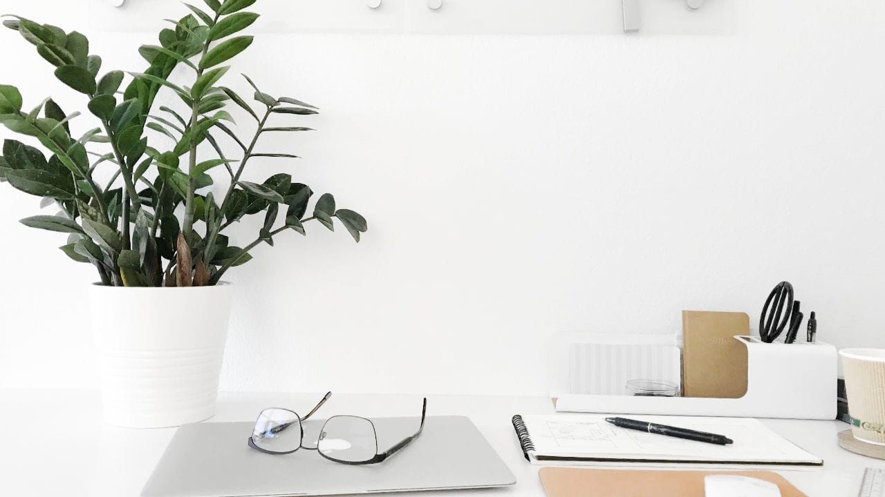 Plant, notebooks, laptop and glasses on a white desk.