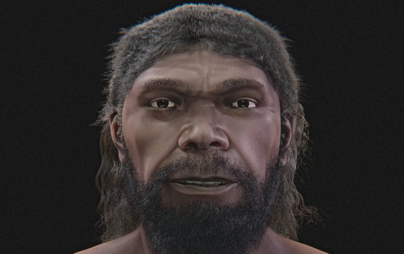 300,000-Year-Old Human Face Rebuilt From Ancient Skull