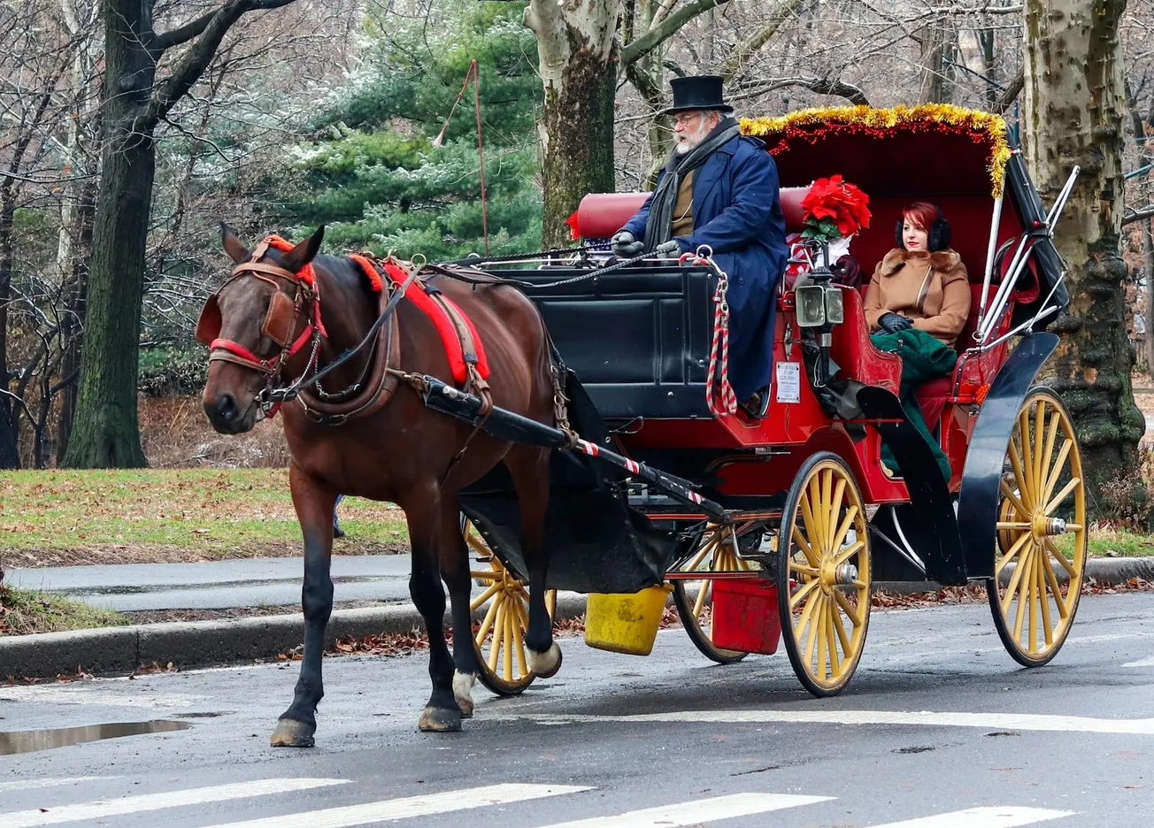 New York City Will Ban Horse-Drawn Carriages
