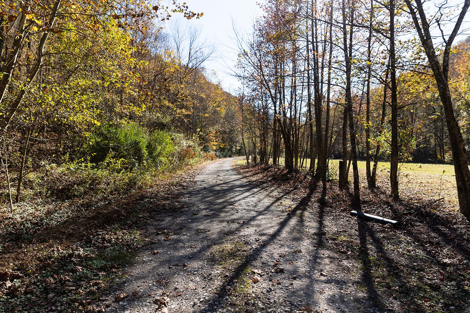 A single-lane gravel road curves ahead, surrounded by trees and grass.