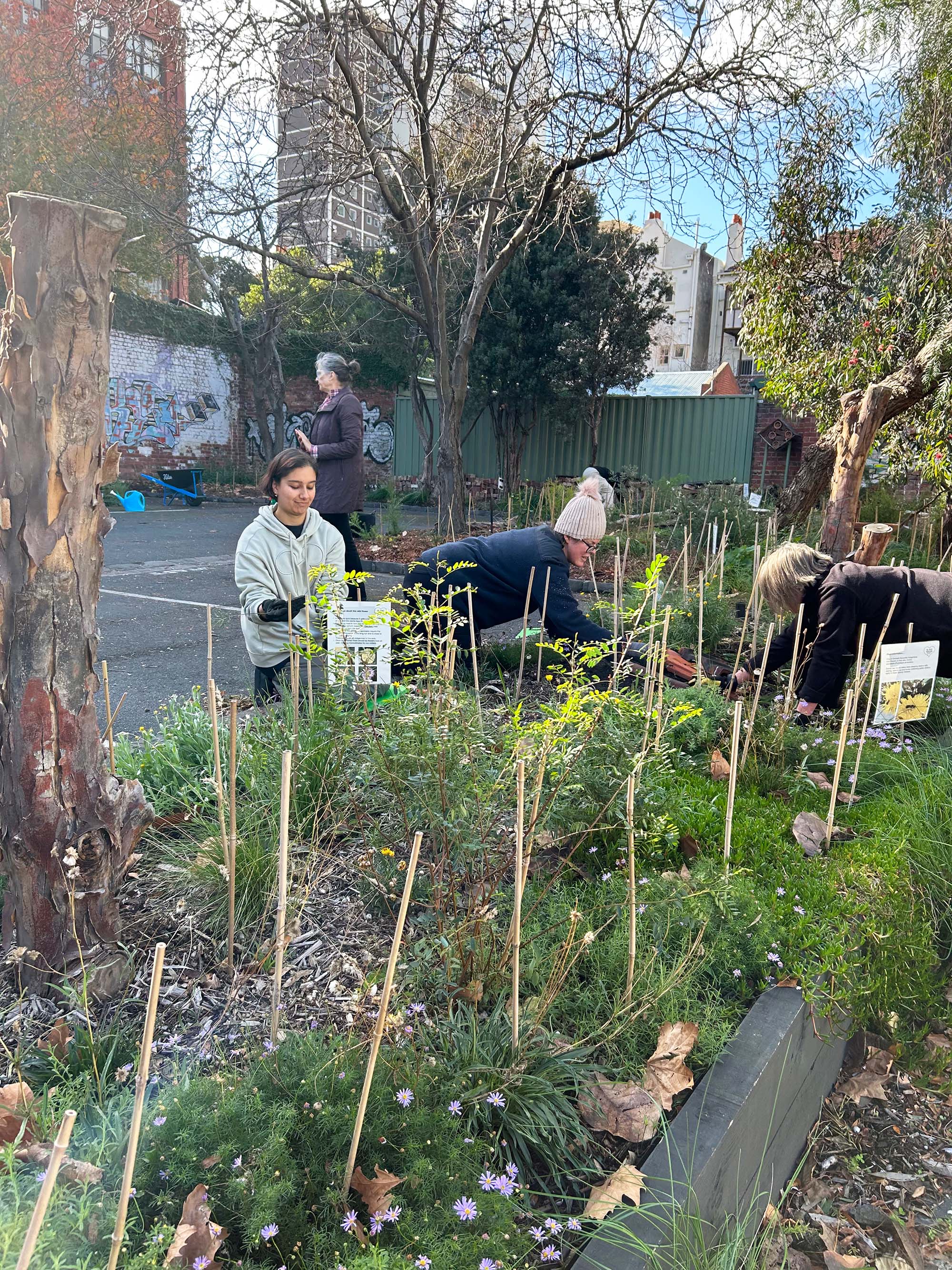 A group of people planting plants in a garden bed next to a parking lot
