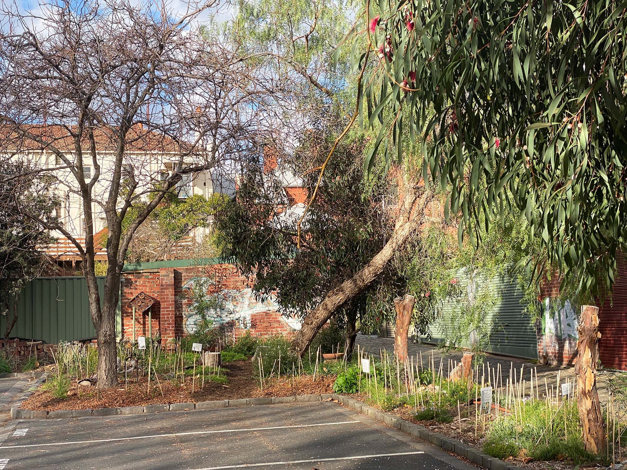 A garden bed next to a parking lot filled with plants, with trees above