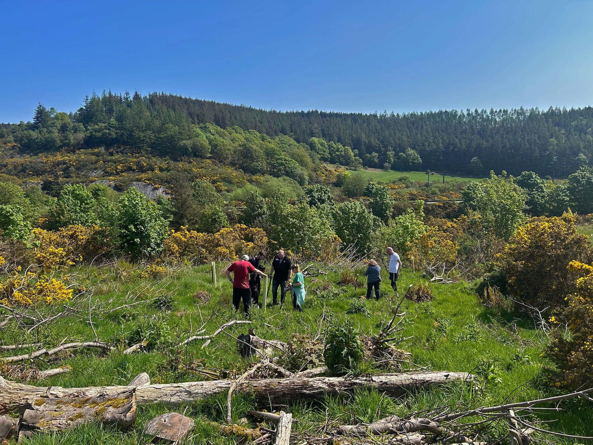 People outdoors in a grassy and forested area with blue sky