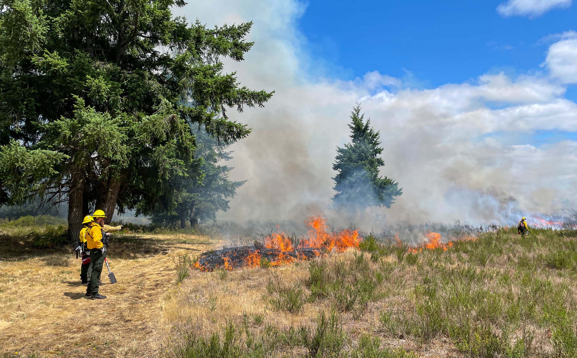 People in safety equipment watching a small fire burn on grassland