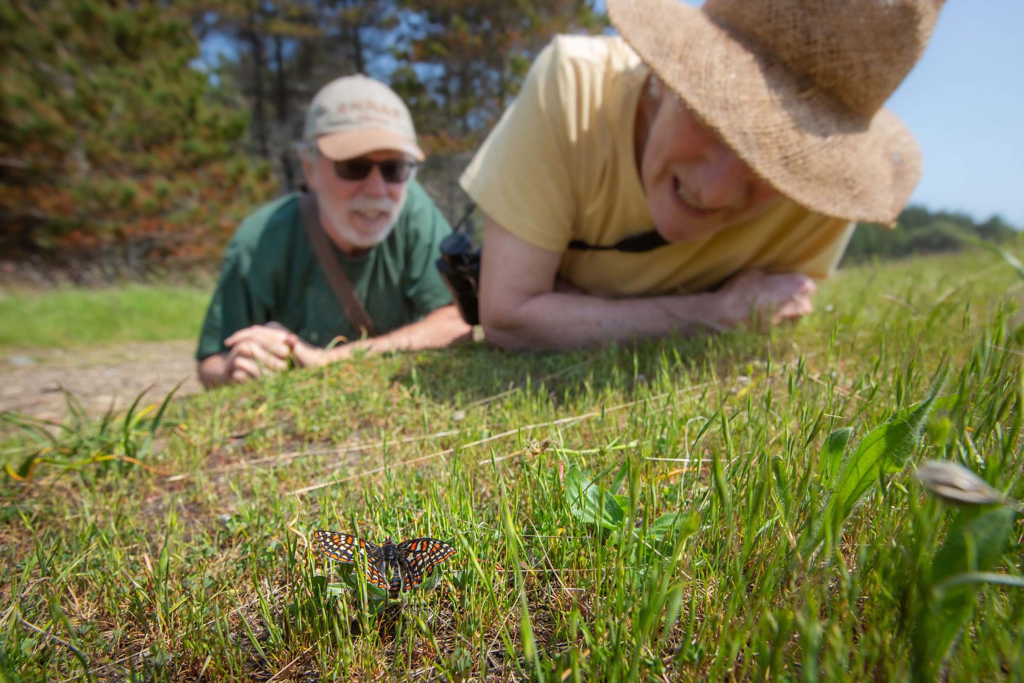 Two people lying on their stomachs in the grass, looking at a butterfly on the ground