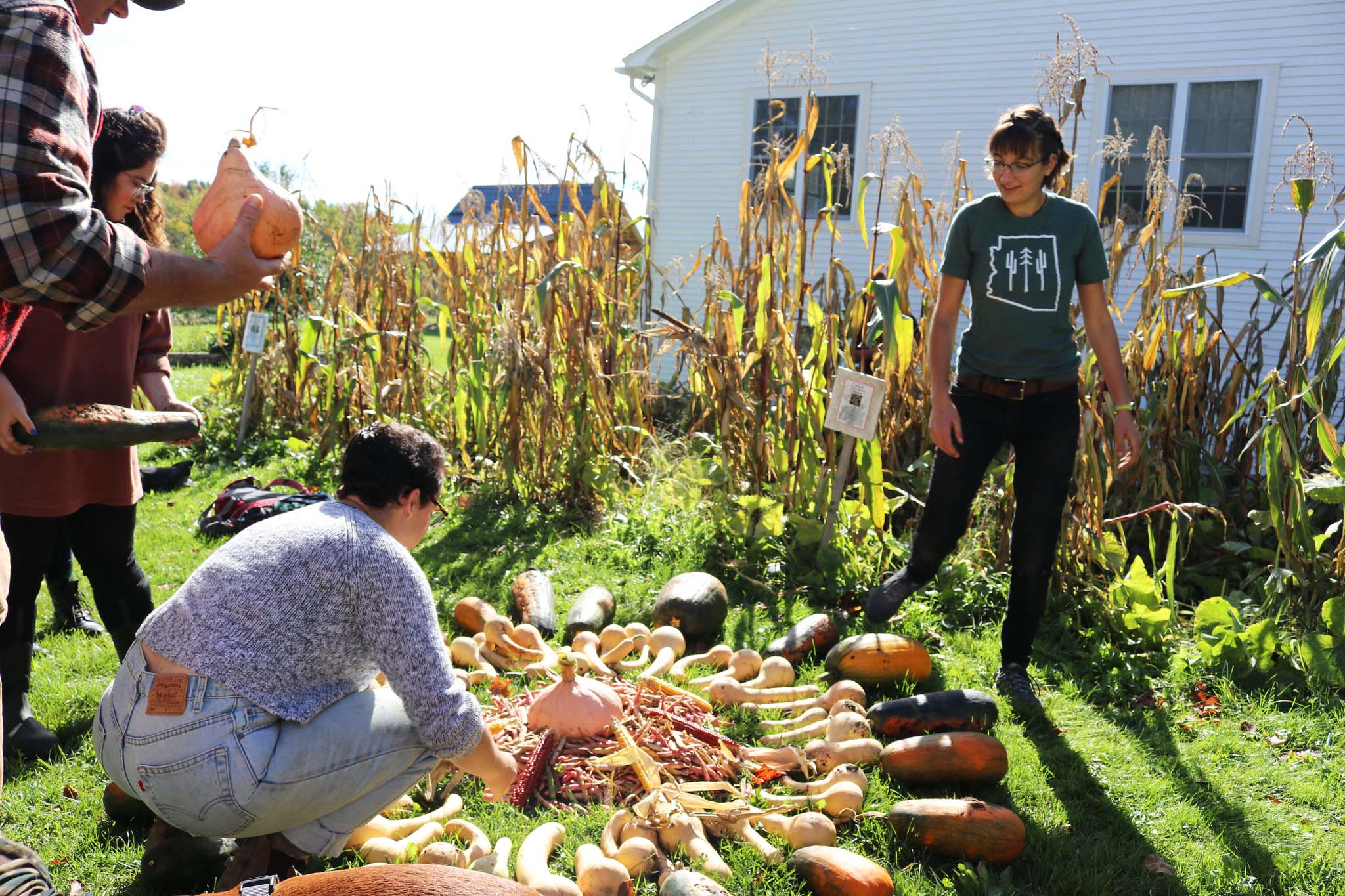 People outdoors in a garden space, arranging corn, bean and squash in a design on the ground