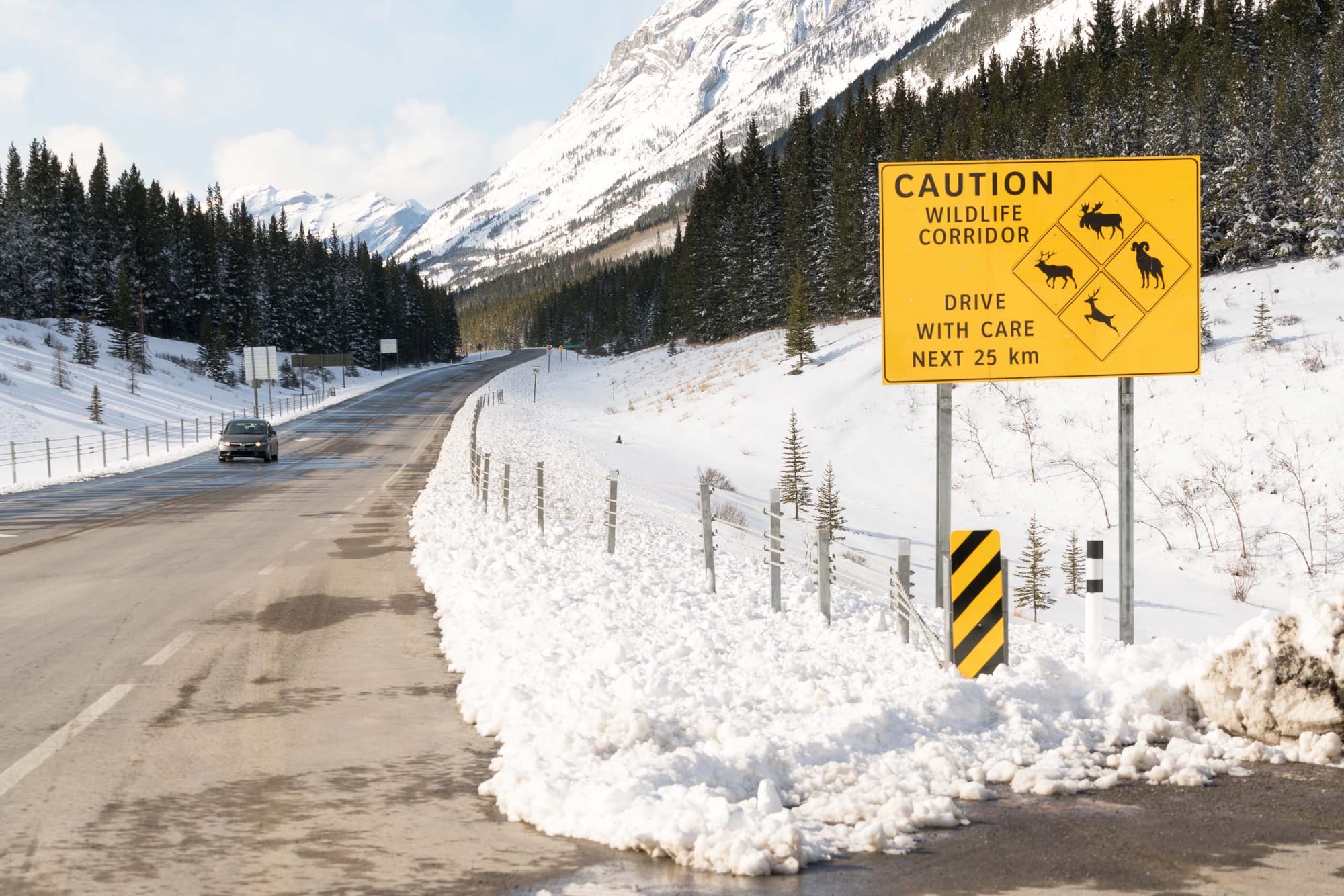 A bare road with snowy verges, mountains and trees on either side. A sign reads Caution: Wildlife Corridor.