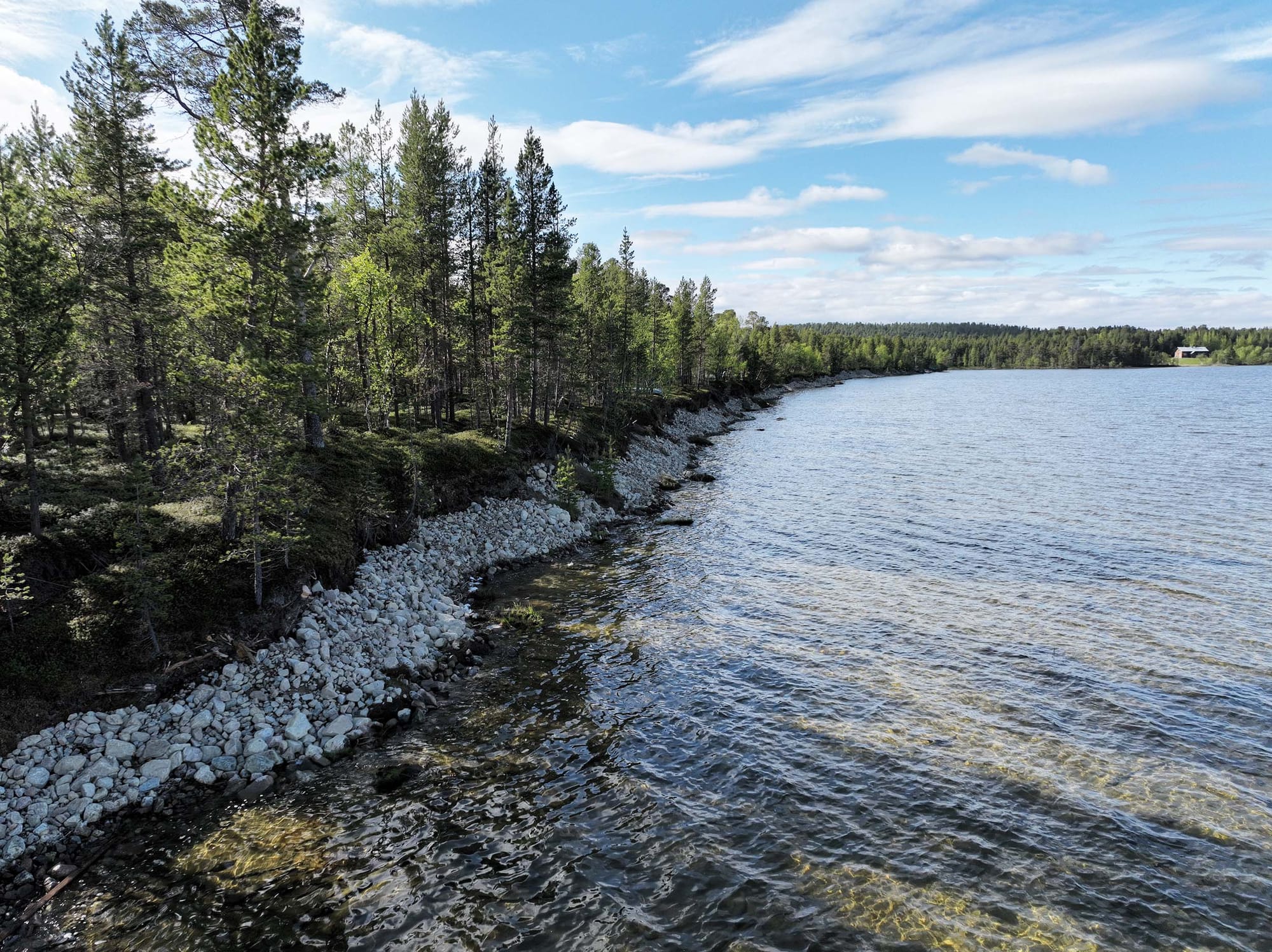 Landscape view of water and evergreen trees separated by a rocky shore