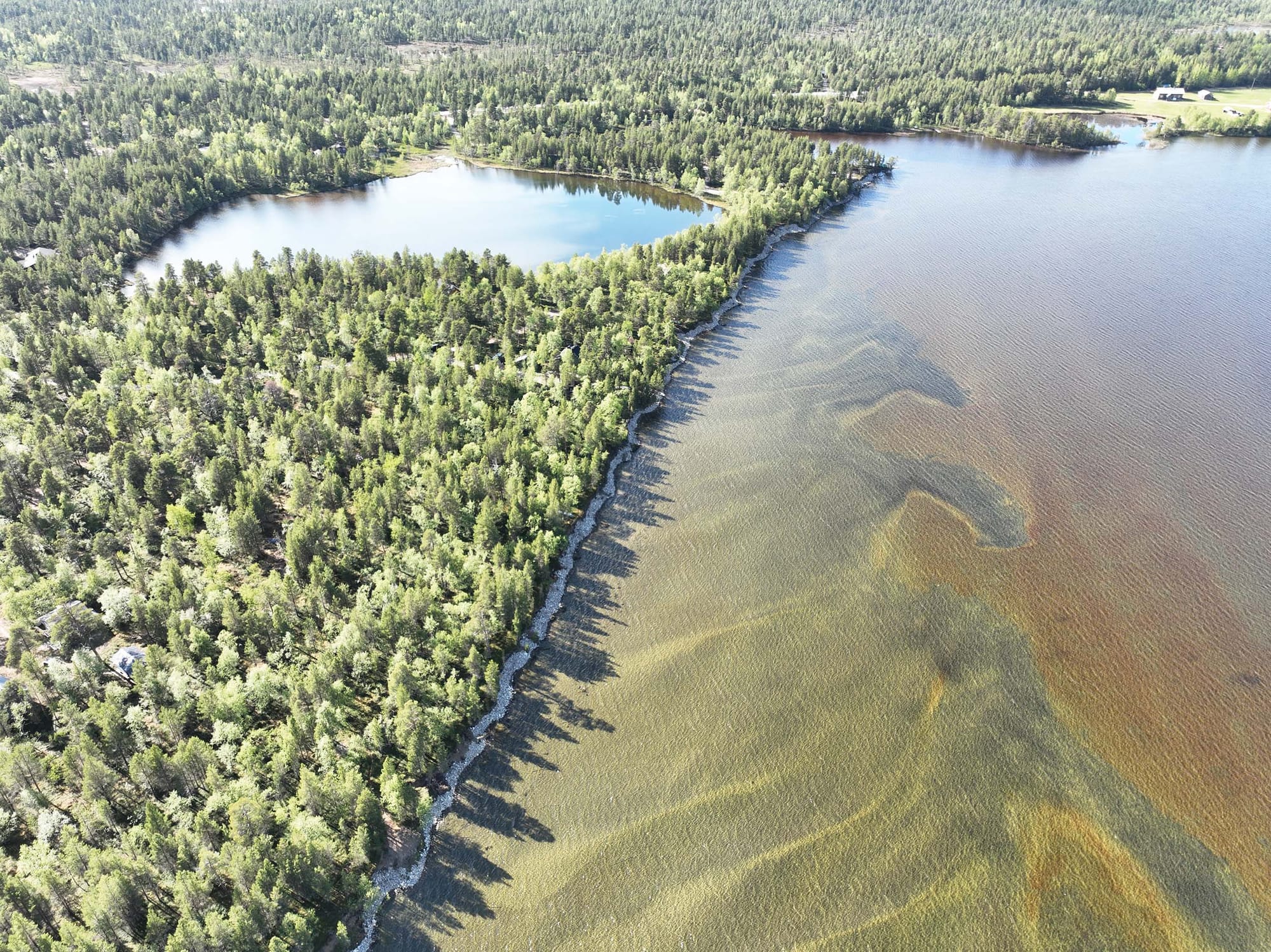Aerial view of a landscape with conifer trees, shallow, clear water and pebbly beach