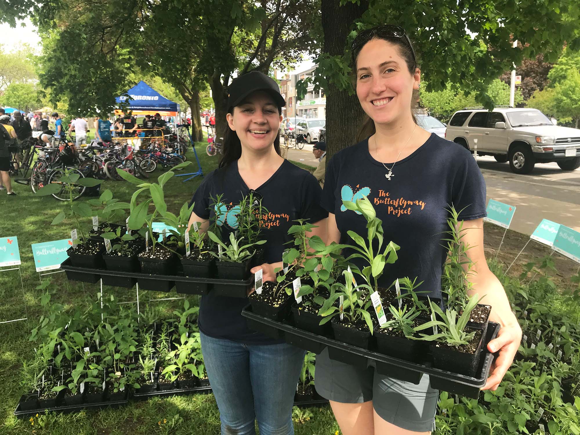 Two people in a city park holding trays full of plant seedlings