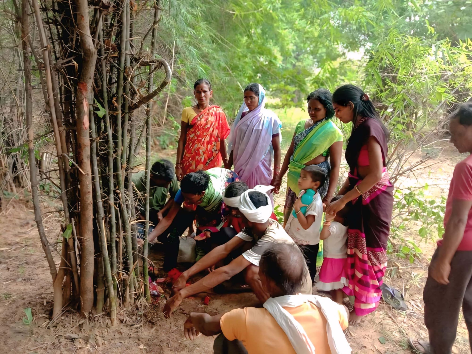 A group of people in colourful clothing focused on a stand of trees