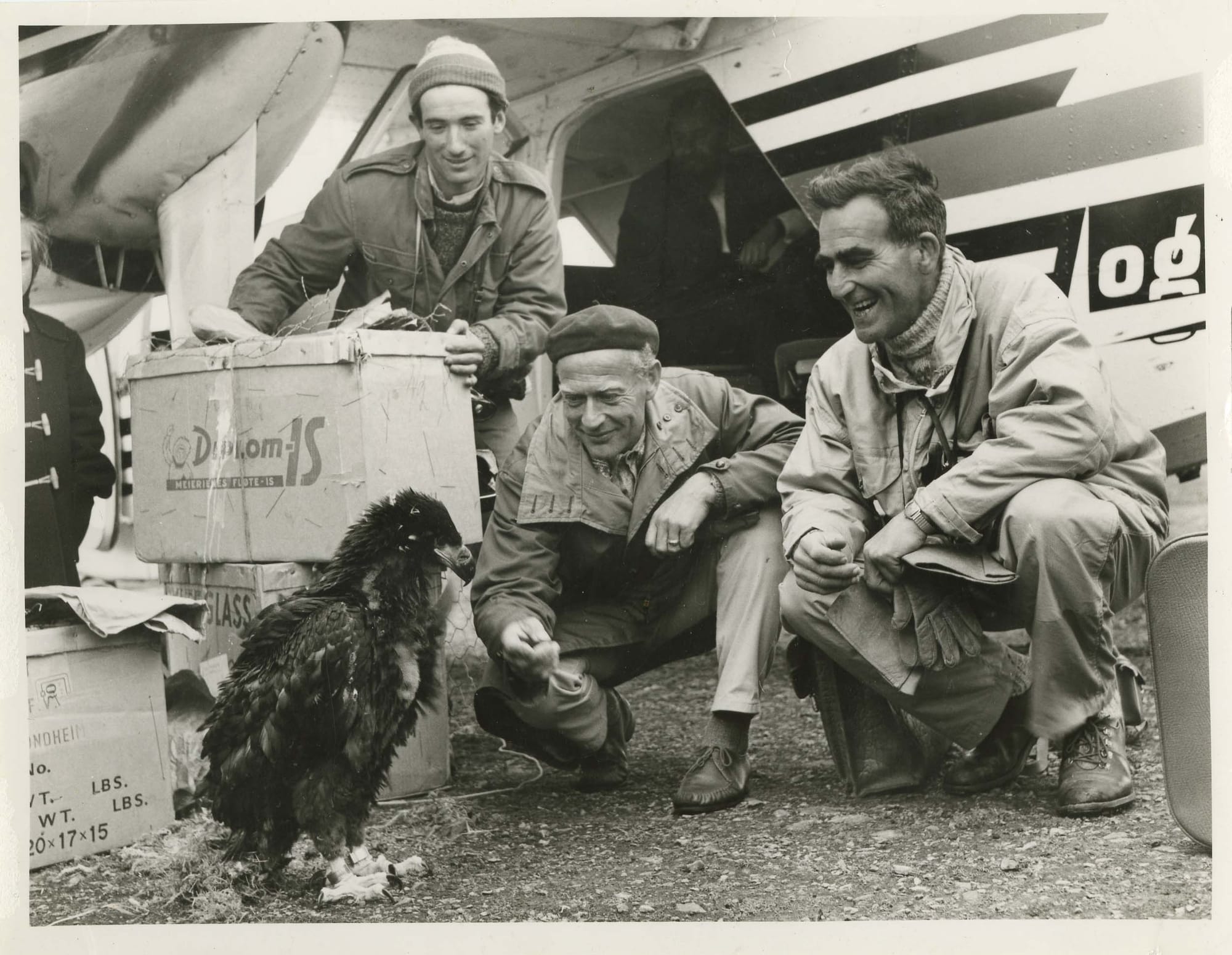 Black-and-white historical photo of a group of people with a young eagle