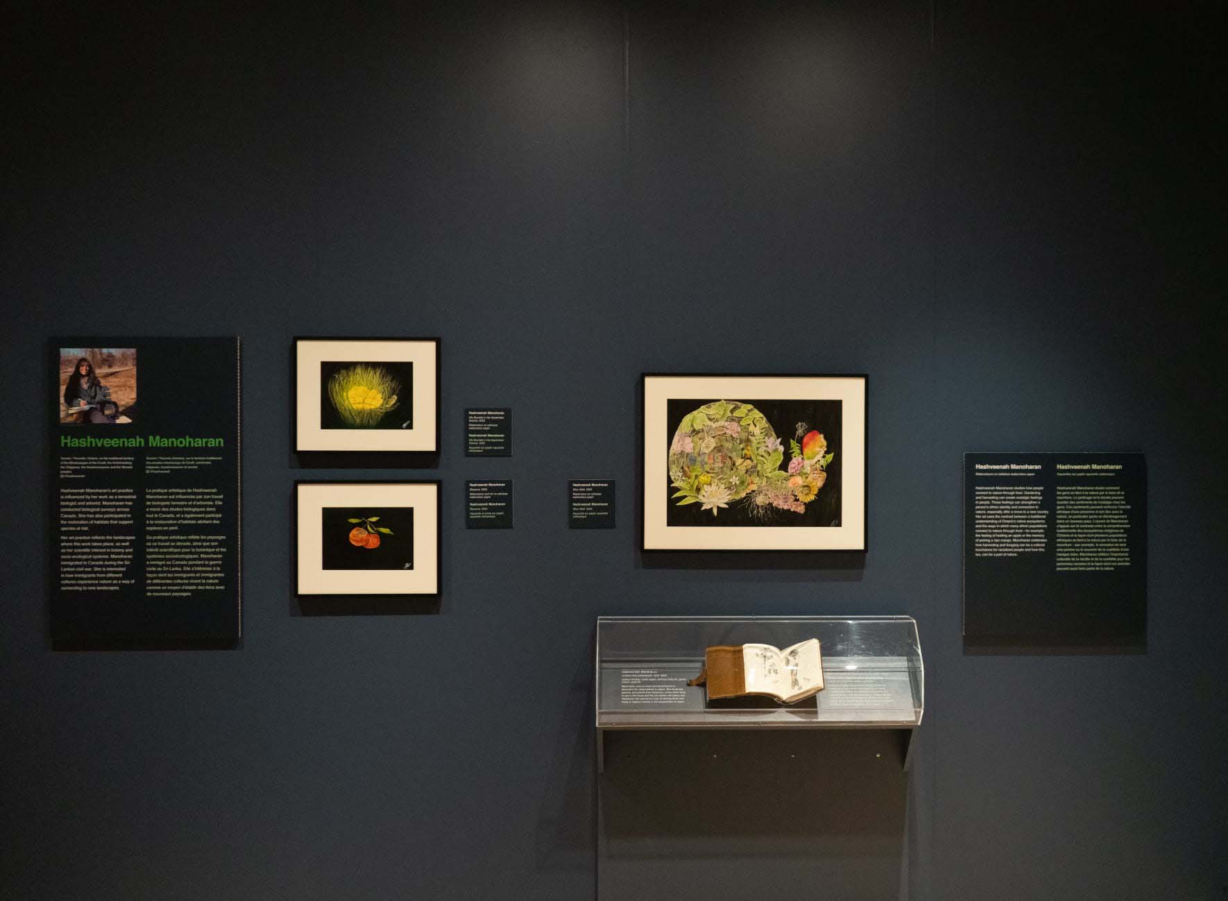 In a gallery, framed art and an artist profile hang on a dark wall, while a case holds a journal