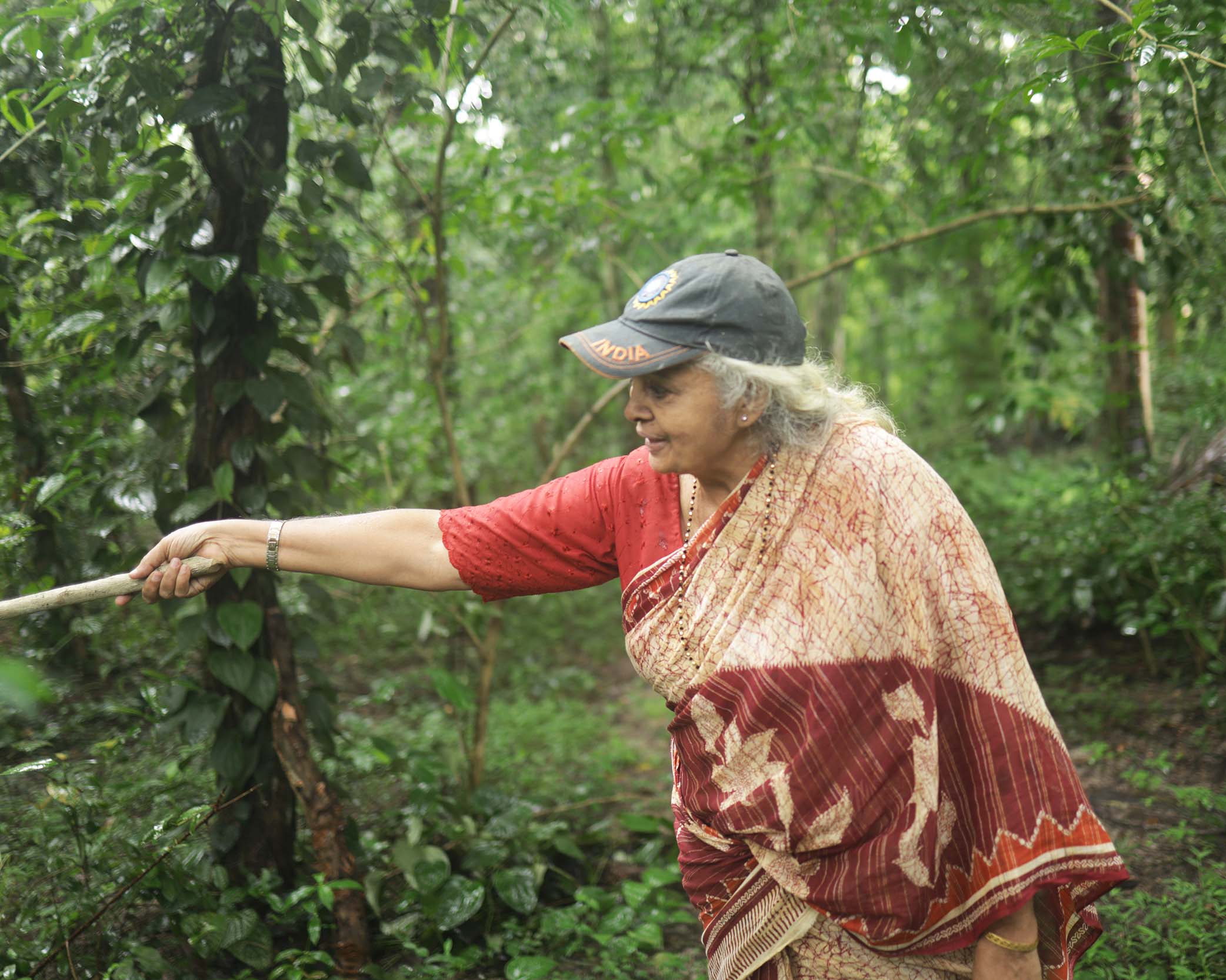 A person standing outdoors in a forest, pointing at something offscreen with a stick