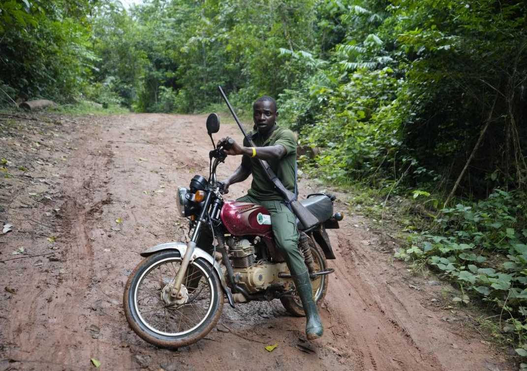 The Former Poachers Protecting Nigeria’s Vanishing Forest