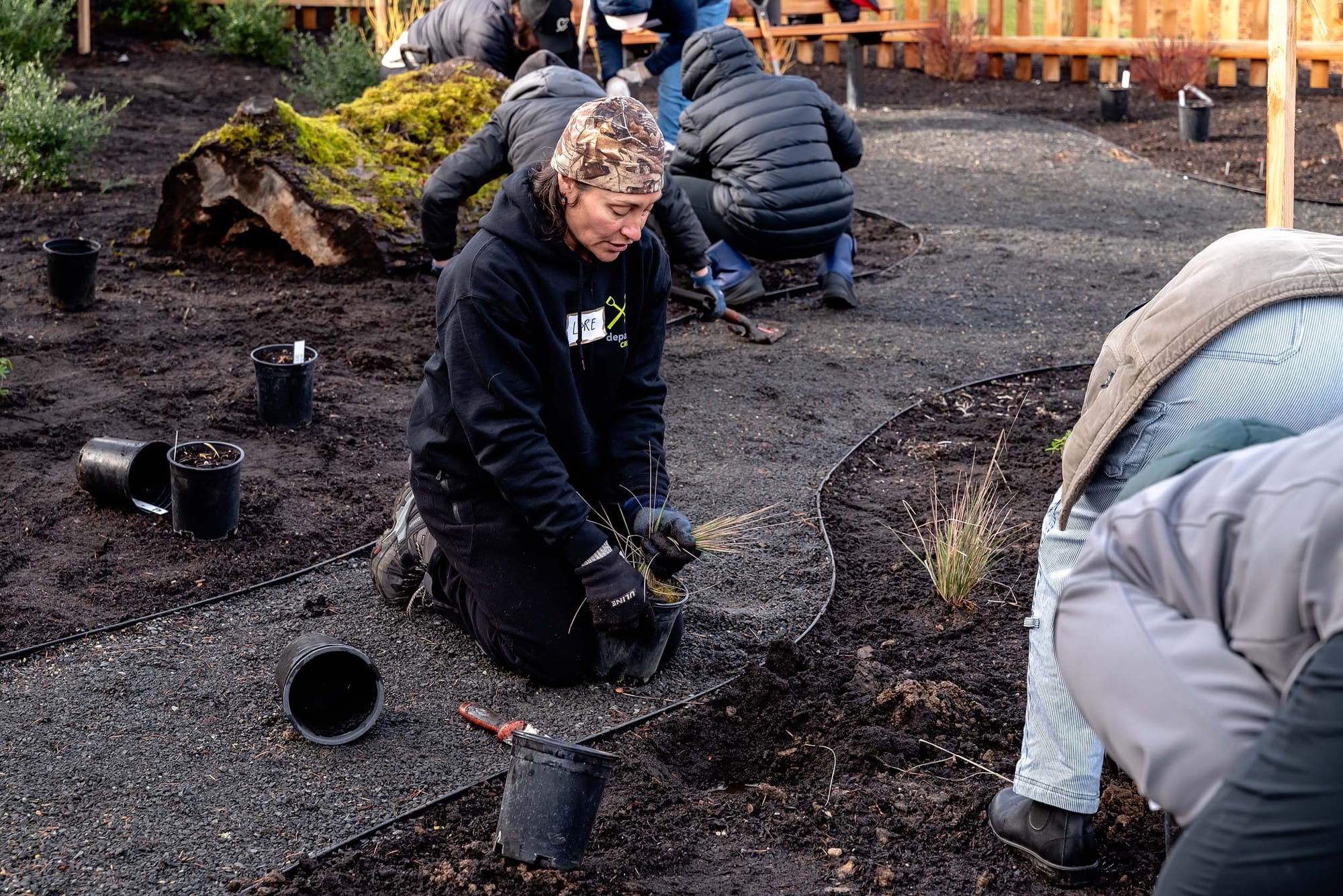 People outdoors planting seedlings into a garden area
