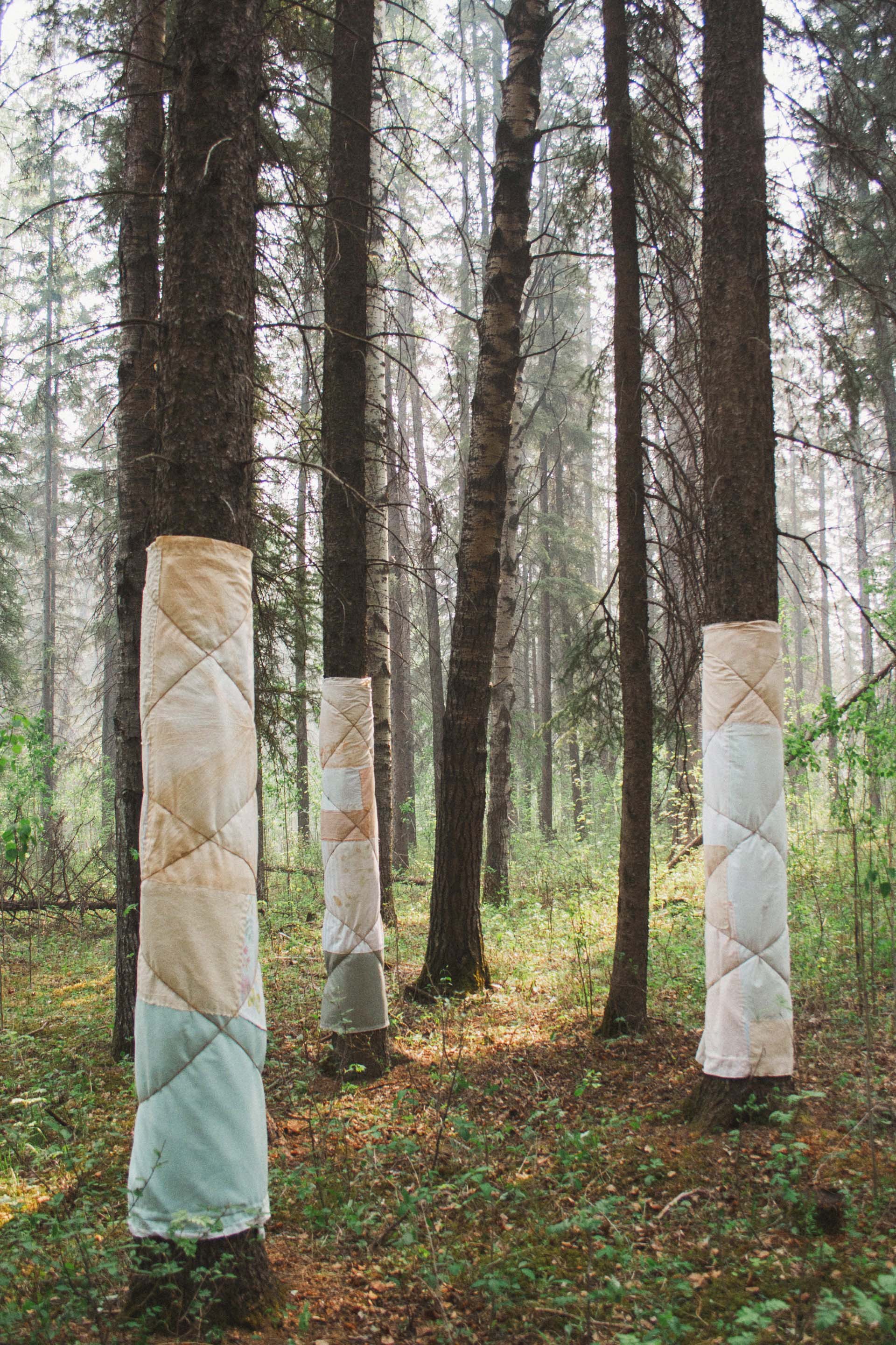 A forest scene with some tree trunks wrapped in fabric quilts