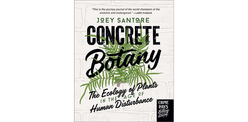Cover of the book Concrete Botany by Joey Santore