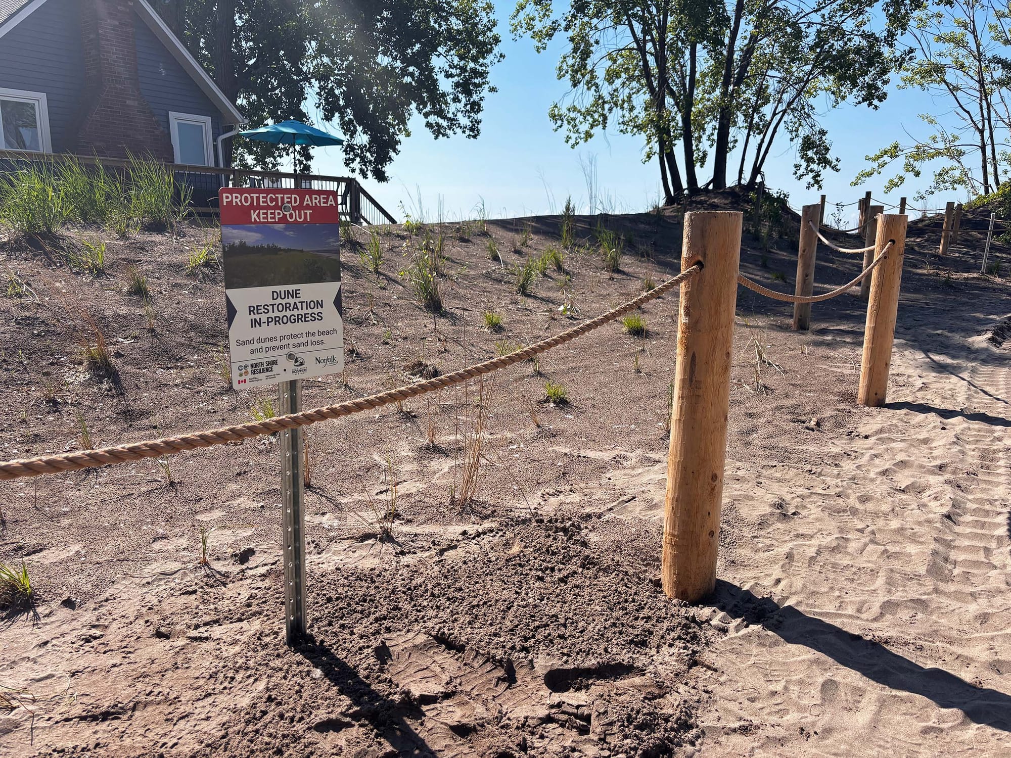 A dune area with a house behind containing small grass plants and roped off with a sign saying "dune restoration in progress"