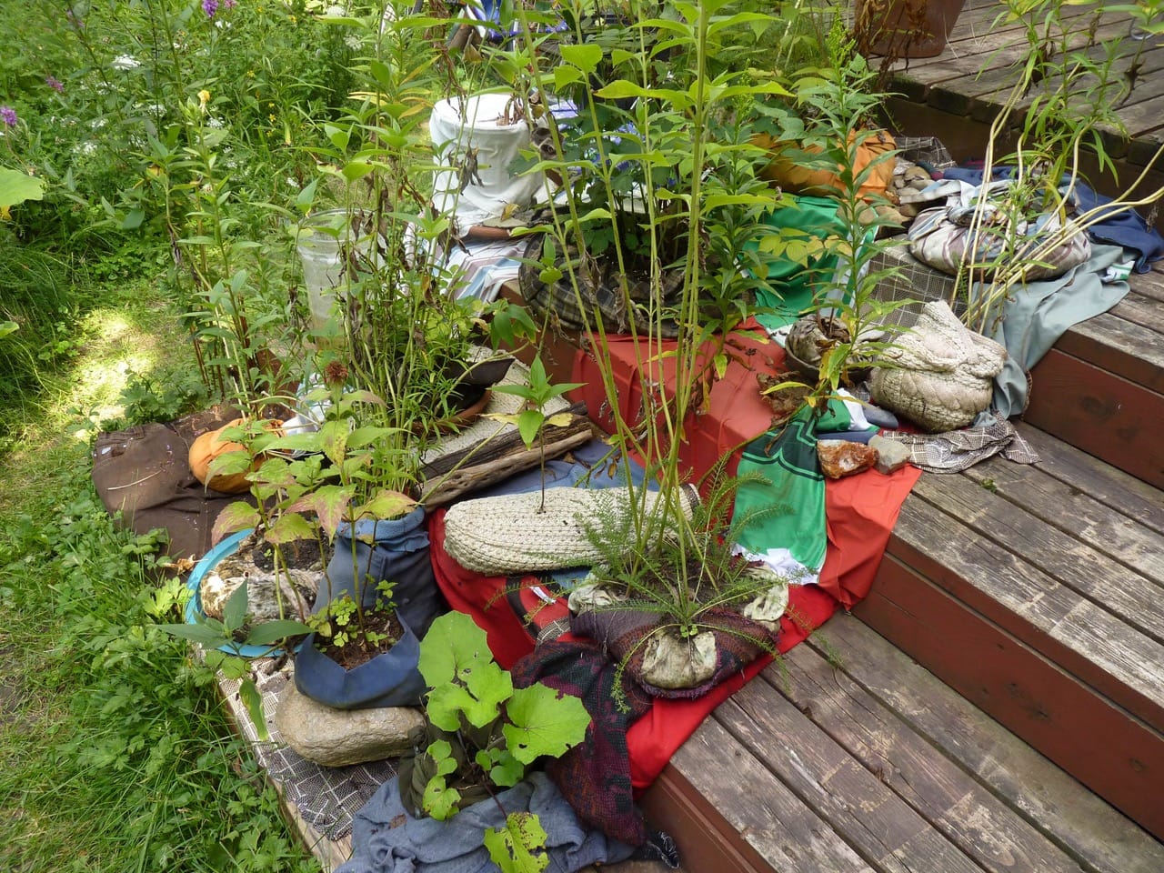 Plants growing out of makeshift fabric planters made of old clothes on a set of outdoor wooden stairs