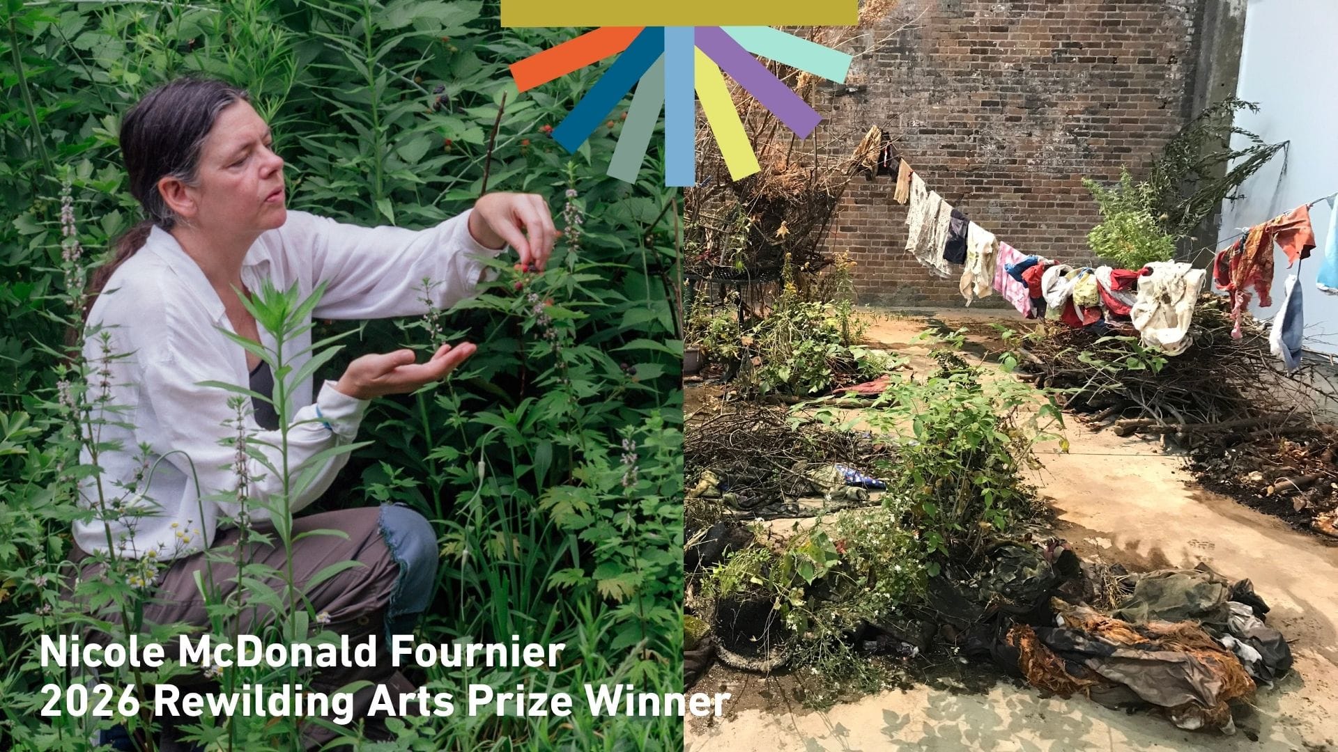 Photos of Nicole McDonald-Fournier and her work with the words "Nicole McDonald Fournier 2026 Rewilding Arts Prize Winner"