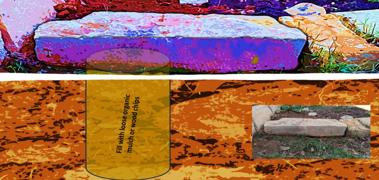 Illustration of how to create a buried woody material resource for wildlife