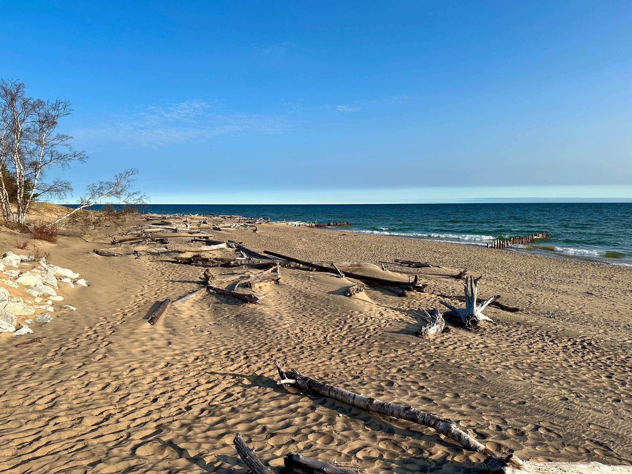 A sandy beach covered in driftwood with the lake and blue sky beyond