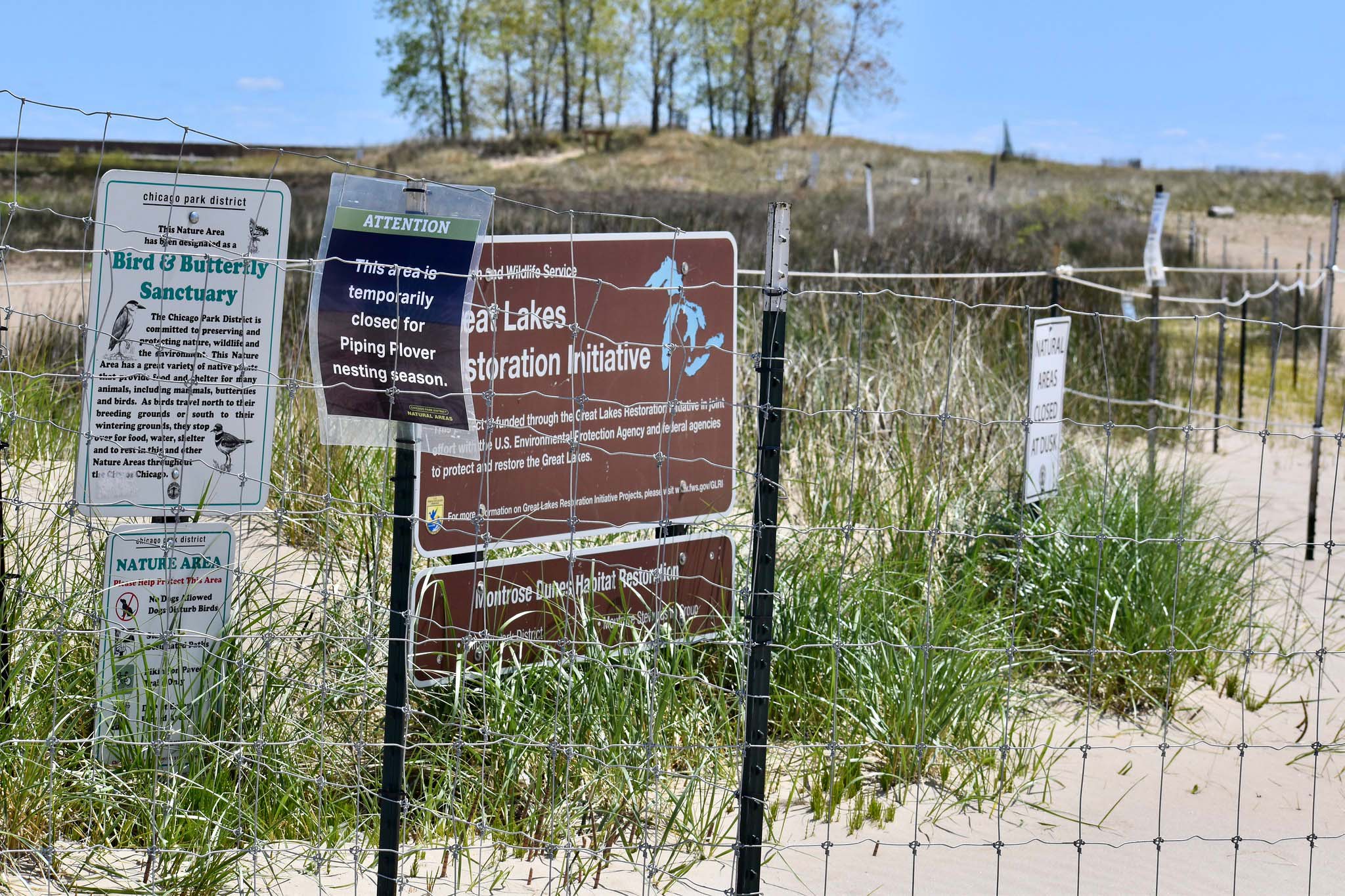 A wire fence and lots of signs about sanctuaries and closures, with grassy sand and trees beyond