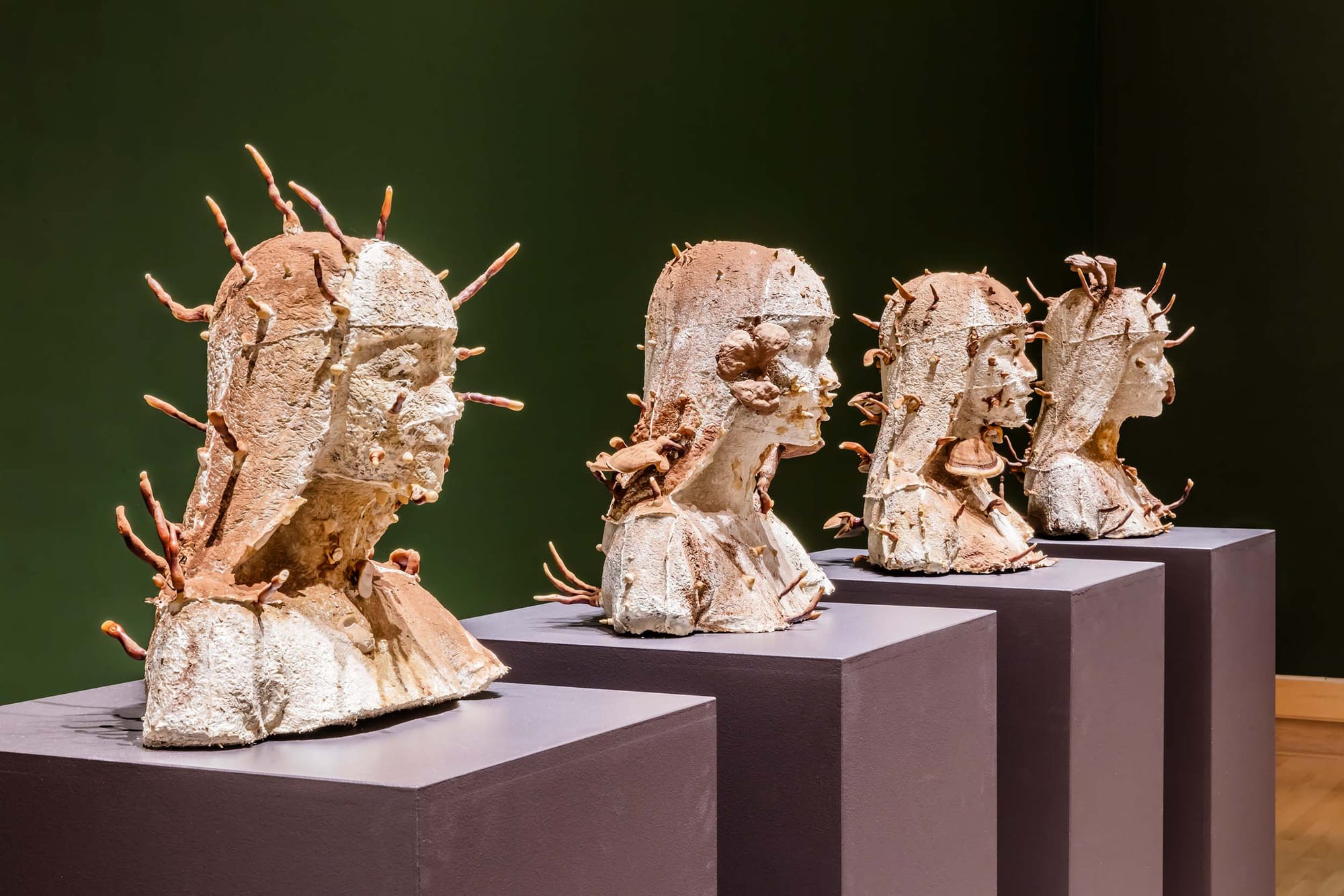 Four brown-and-white busts of women, with spiky mushrooms poking out, on four purple pedestals with green walls behind