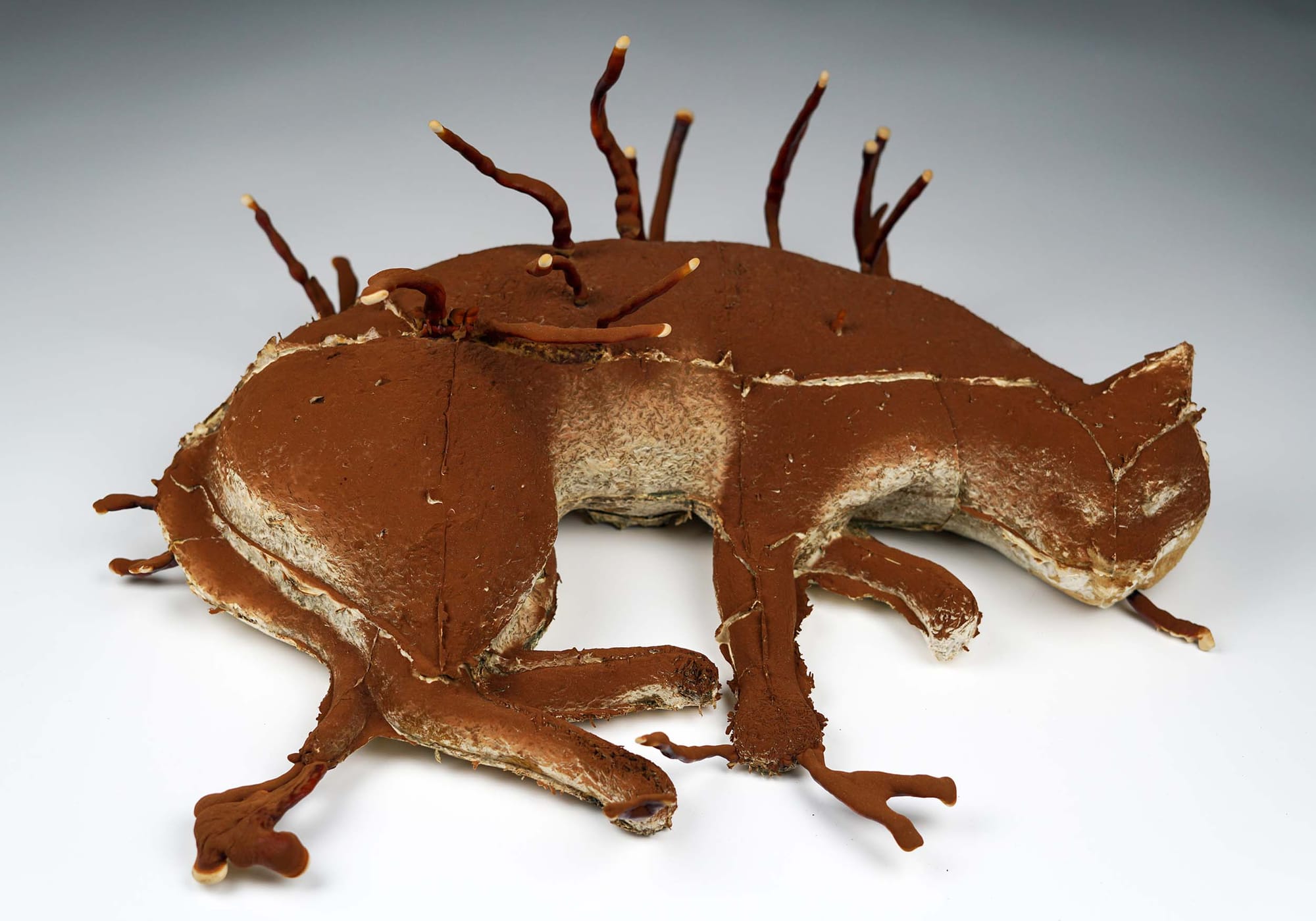 Brownish sculpture of a cat lying on a white surface
