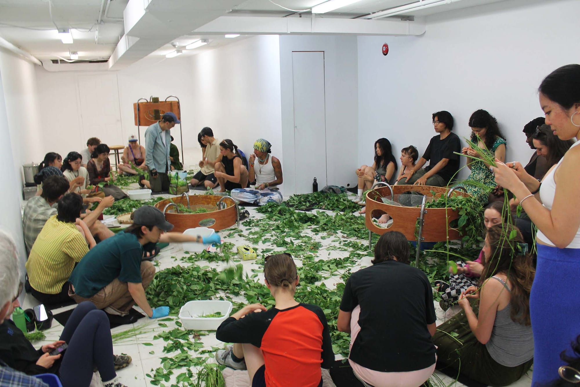 A group of people in a white-walled room, sitting/standing in a rough circle and working with plant material