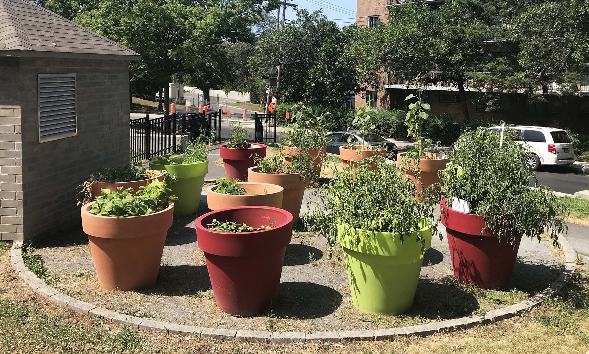 A group of giant flowerpots filled with plants in an urban environment