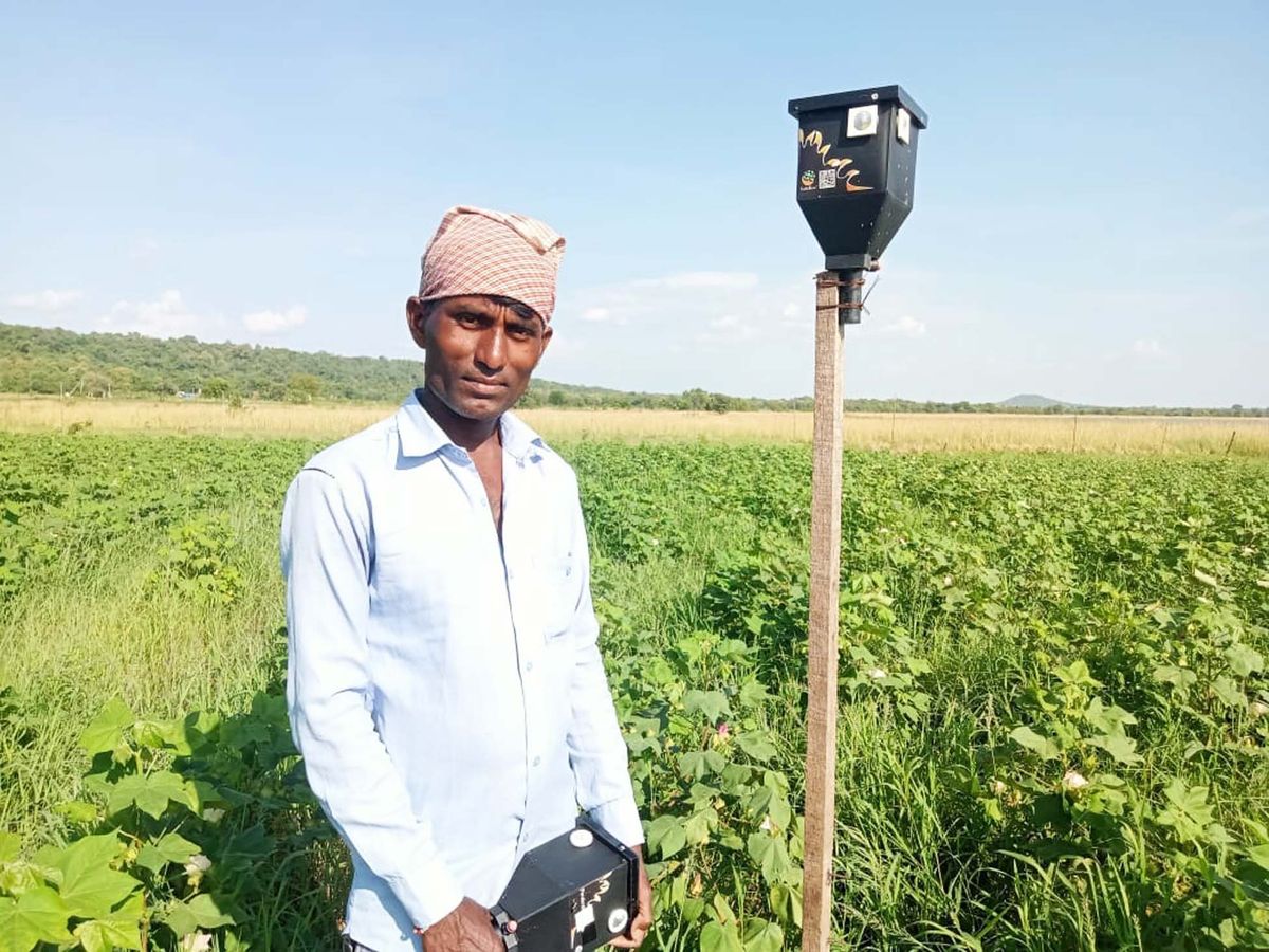 The solar tech reducing human-wildlife conflict in India