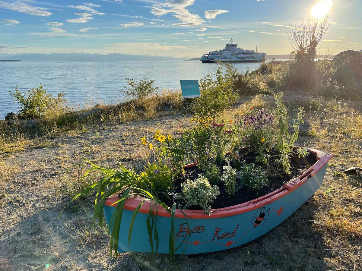 These volunteers are building pollinator habitat – and community