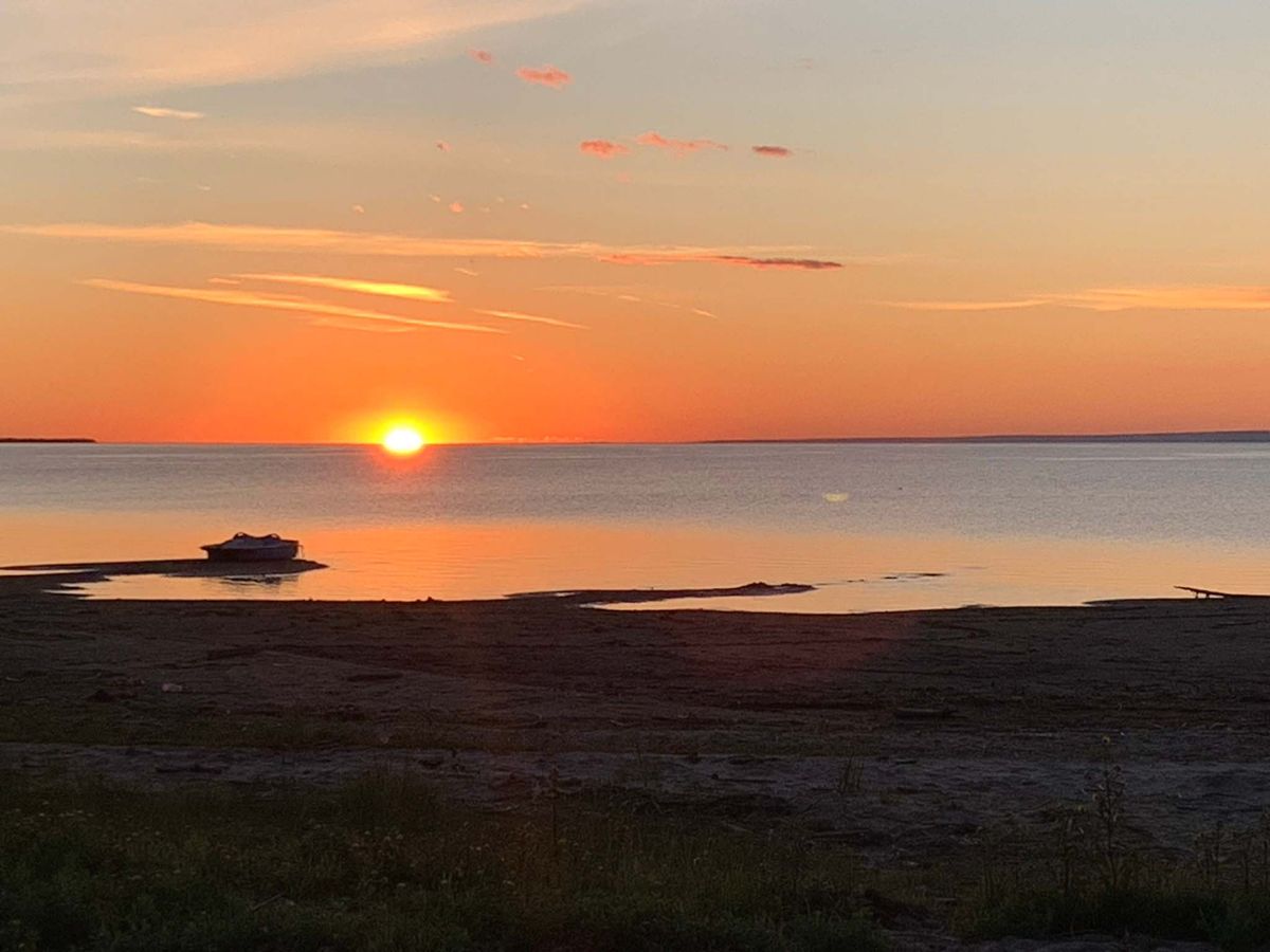 Rewilding for relationship and reconciliation