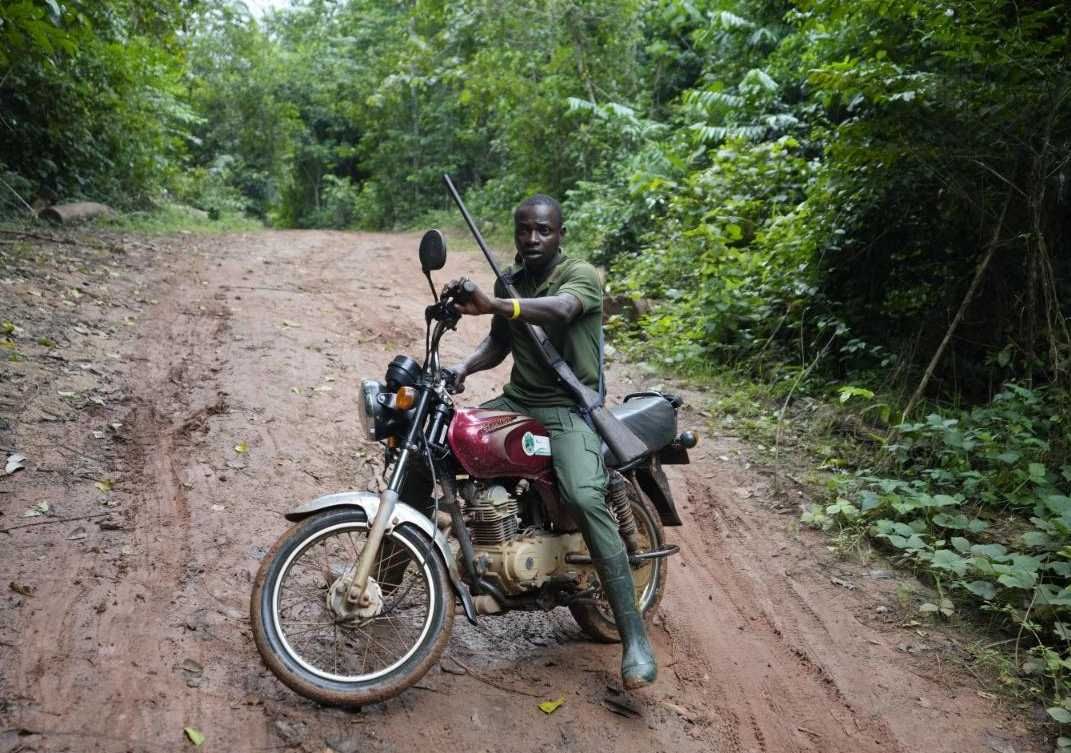 How former poachers are protecting Nigeria’s vanishing rainforest