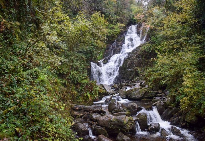 A waterfall surrounded by forest