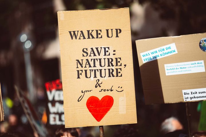 Signs at a protest; one reads "wake up save: nature, future & your soul"