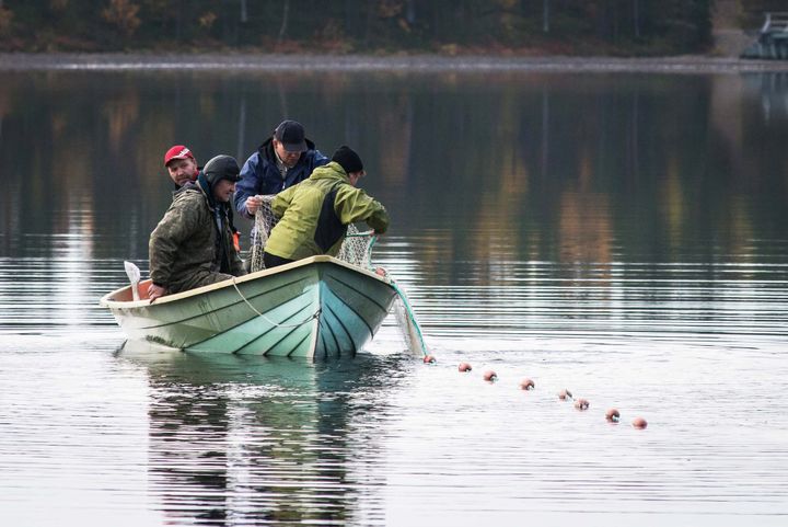 Four people in a small boat on a still body of water, fishing with nets