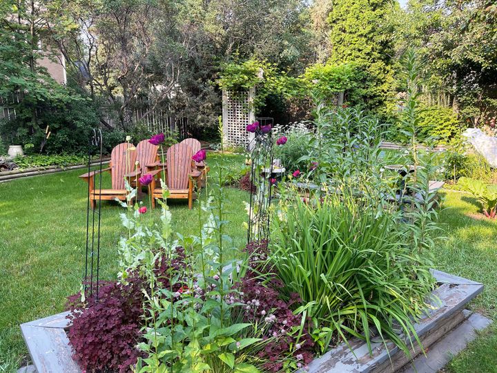 A backyard garden with raised beds holding flowering plants and wooden chairs on grass