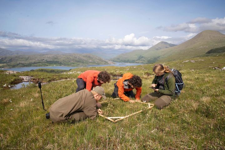 Four people in a field outdoors with mountains and lakes in the background, investigating the land