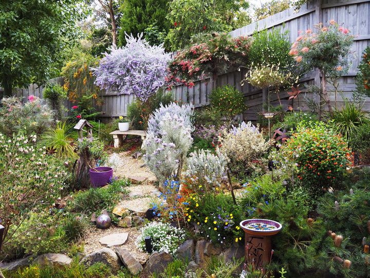 A lush garden with lots of colour and textur