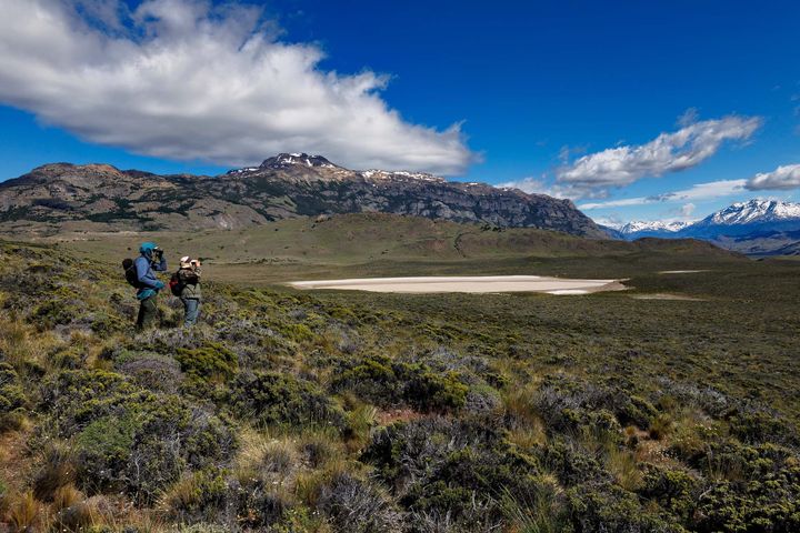 People standing in a scrubby open landscape looking through binoculars, with mountains and blue sky behind