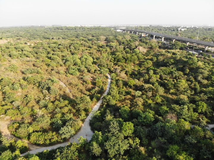 Aerial view of a treed landscape with urban infrastructure and buildings beyond